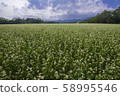 Peony soba field Peony soba field 58995546