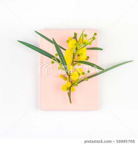 Mimosa and pink notepad on white background Mimosa and pink notepad on white background 58995708