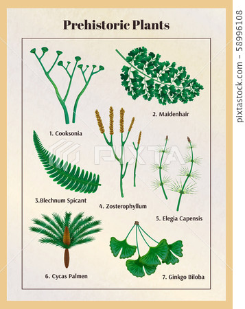Prehistoric Plants Botanical Set 58996108