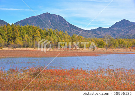 奧達西羅加哈拉（Odashirogahara）在19號颱風做成的秋天草色中 58996125