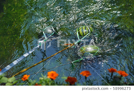 Watermelon cooled with fresh water 58996273