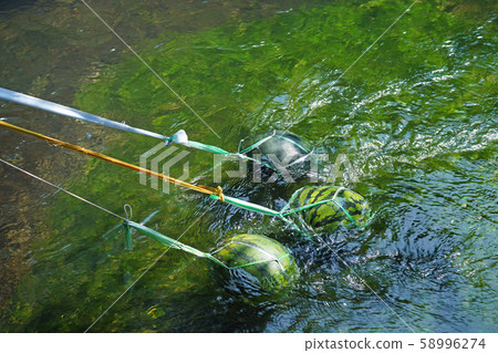 Watermelon cooled with fresh water 58996274
