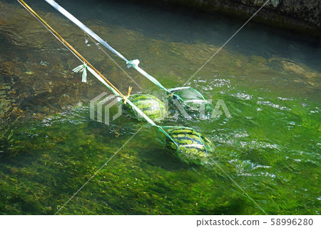 Watermelon cooled with fresh water Watermelon cooled with fresh water 58996280