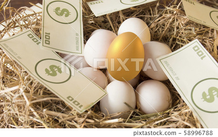 egg, gold egg, invest 58996788
