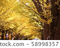 北海道大學風光 58998357