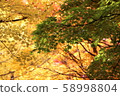 北海道秋葉 58998804