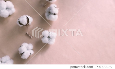 Top view angle images of 100% organic cotton from Holland or Netherland which is flowers imported from Europe for use in clothes or fabric industry and for beauty or baby such as cotton buds or pads Top view angle images of 100% organic cotton from Holland or Netherland which is flowers imported from Europe for use in clothes or fabric industry and for beauty or baby such as cotton buds or pads 58999089