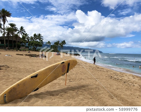 Lazy North Shore in Hawaii Lazy North Shore in Hawaii 58999776