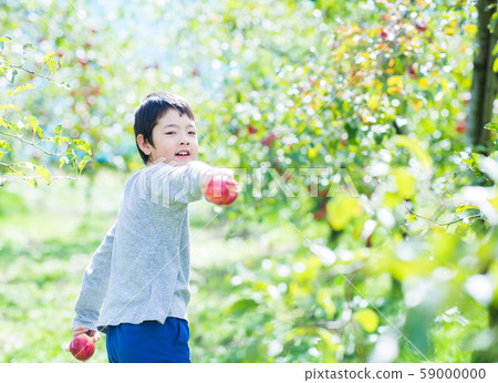 孩子們摘蘋果 孩子們摘蘋果 59000000