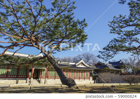 Changdeokgung Palace, the Imperial Palace of the Joseon Dynasty 59000824