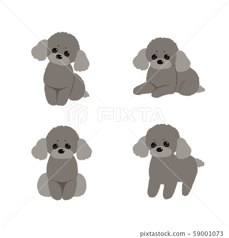 Poodle 59001073