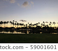 Dusk of Hawaii 59001601