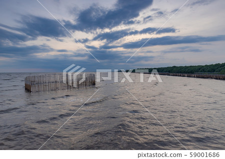 Landscape of sunset with seagull nestled in a row Landscape of sunset with seagull nestled in a row 59001686