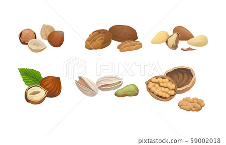Different Nuts Set Isolated On White Background 59002018
