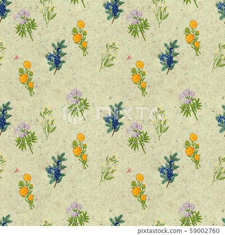 Hand drawn medicinal plant seamless pattern. Healing herbs drawing on craft paper. Hand drawn medicinal plant seamless pattern. Healing herbs drawing on craft paper. 59002760