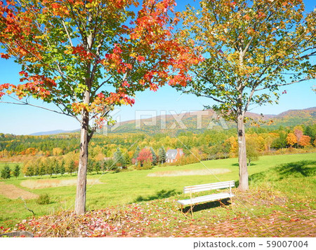 Autumn Hokkaido scenery 59007004