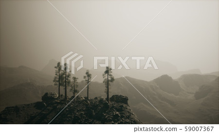 8K Fog hides the high forest in the mountains 8K Fog hides the high forest in the mountains 59007367