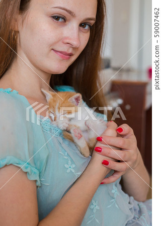 Close up of cute kitty in woman's hands. Close up of cute kitty in woman's hands. 59007462