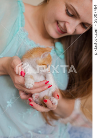 Close up of cute kitty in woman's hands. Close up of cute kitty in woman's hands. 59007464