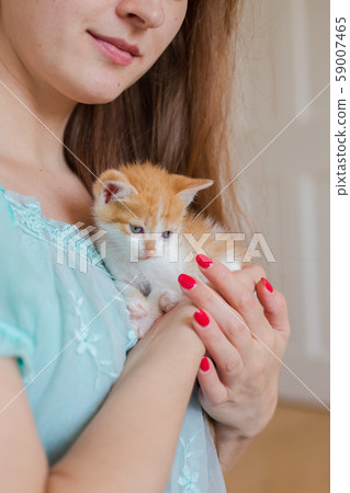 Close up of cute kitty in woman's hands. Close up of cute kitty in woman's hands. 59007465