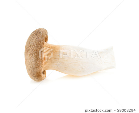 Royal oyster mushroom on white background 59008294