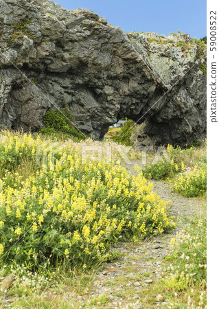 New Zealand Wellington More Point 59008522