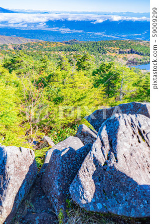 Shirakoma-no-ike Pond as seen from Takami stone, autumn [Nagano] 59009299