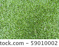 Green leaves background, Grass background and wallpaper 59010002