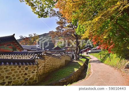 Autumn leaves in Haenggung in Namhansanseong Fortress listed as UNESCO World Heritage Autumn leaves in Haenggung in Namhansanseong Fortress listed as UNESCO World Heritage 59010443