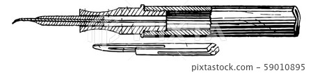 Fountain Pen, nib pen, vintage engraving. Fountain Pen, nib pen, vintage engraving. 59010895