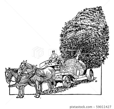 Tree Transportation vintage illustration. 59011427