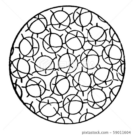 Solid State Showing No Regularity of Molecular 59011604