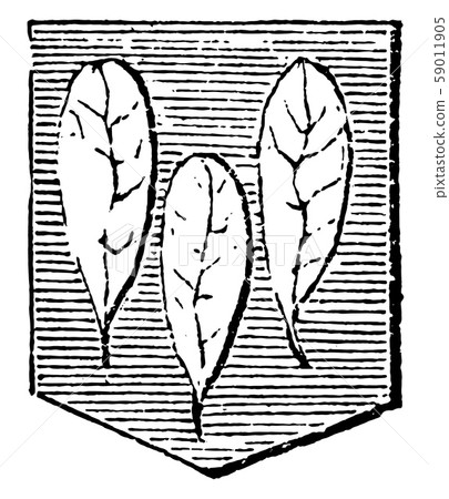 Leaves Slipped from the stock or branch, vintage Leaves Slipped from the stock or branch, vintage 59011905
