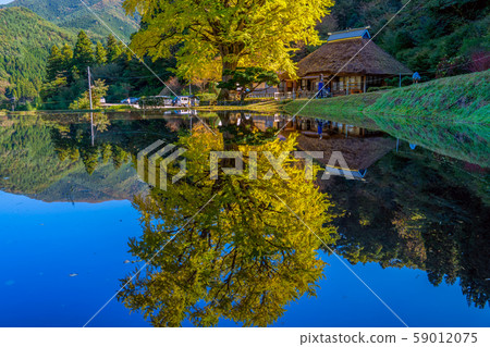 Kinpukuji很棒的銀杏 59012075