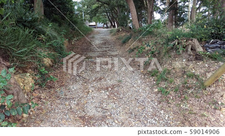 小路 小路 59014906