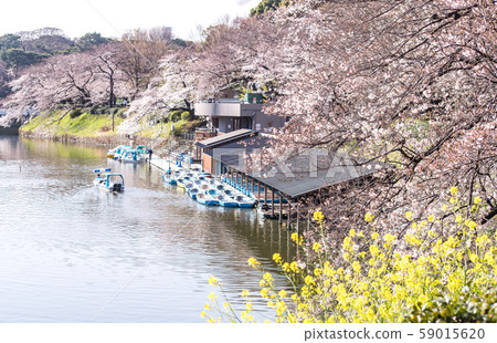 CHIYODA, TOKYO PREFECTURE, JAPAN - March 27, 2019 CHIYODA, TOKYO PREFECTURE, JAPAN - March 27, 2019 59015620