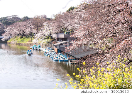 CHIYODA, TOKYO PREFECTURE, JAPAN - March 27, 2019 59015623