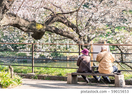 cherry blossom at chidori ga fuchi, tokyo, japan 59015653