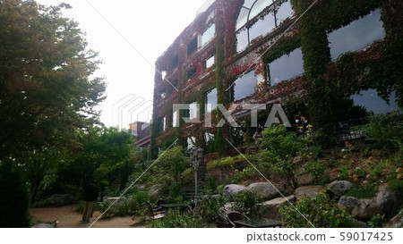 Seoul street view and daily life 59017425