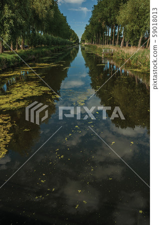 Bushes and grove along canal with sky reflected on water Bushes and grove along canal with sky reflected on water 59018013