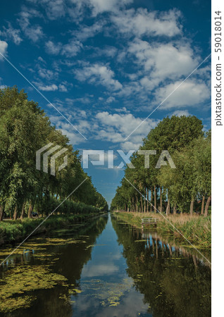 Bushes and grove along canal with sky reflected on water 59018014