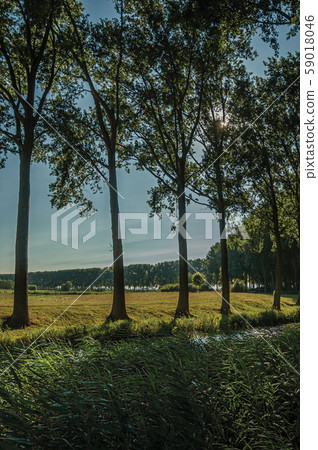 Creek in the woods and fields near the village of Damme 59018046