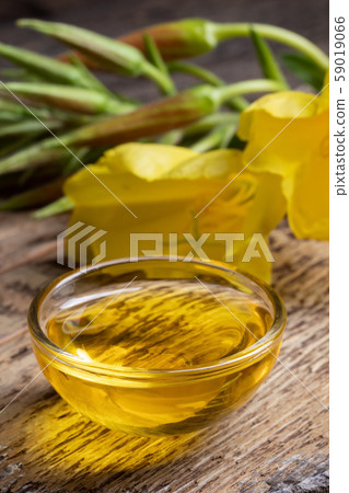 A bowl of evening primrose oil with fresh blooming evening primrose plant A bowl of evening primrose oil with fresh blooming evening primrose plant 59019066