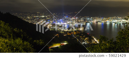 New Zealand Wellington night view from Mount Victoria 59021429