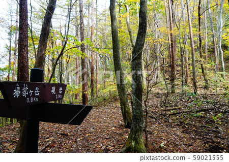 通往山的山路 59021555