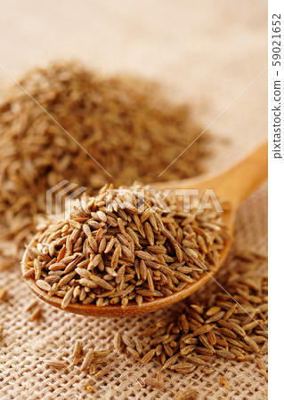 Cumin seed Cumin seed 59021652