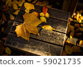 autumn 59021735