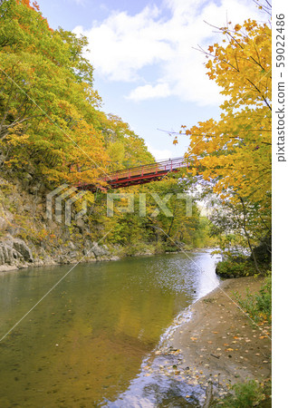 Jozankei Futami Suspension Bridge in Autumn Jozankei Futami Suspension Bridge in Autumn 59022486
