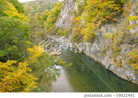 View from Jozankei Futami Suspension Bridge in autumn 59022491