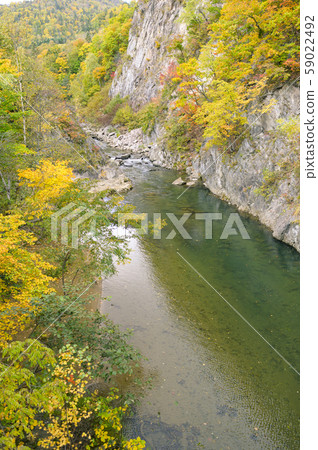 View from Jozankei Futami Suspension Bridge in autumn 59022492